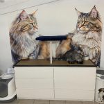 Bureau chatterie copie (1)