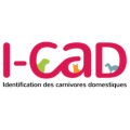 logo ICAD