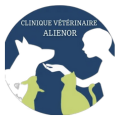logo alienor